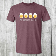 Load image into Gallery viewer, Daydream Tees You Know Why I&#39;m Here
